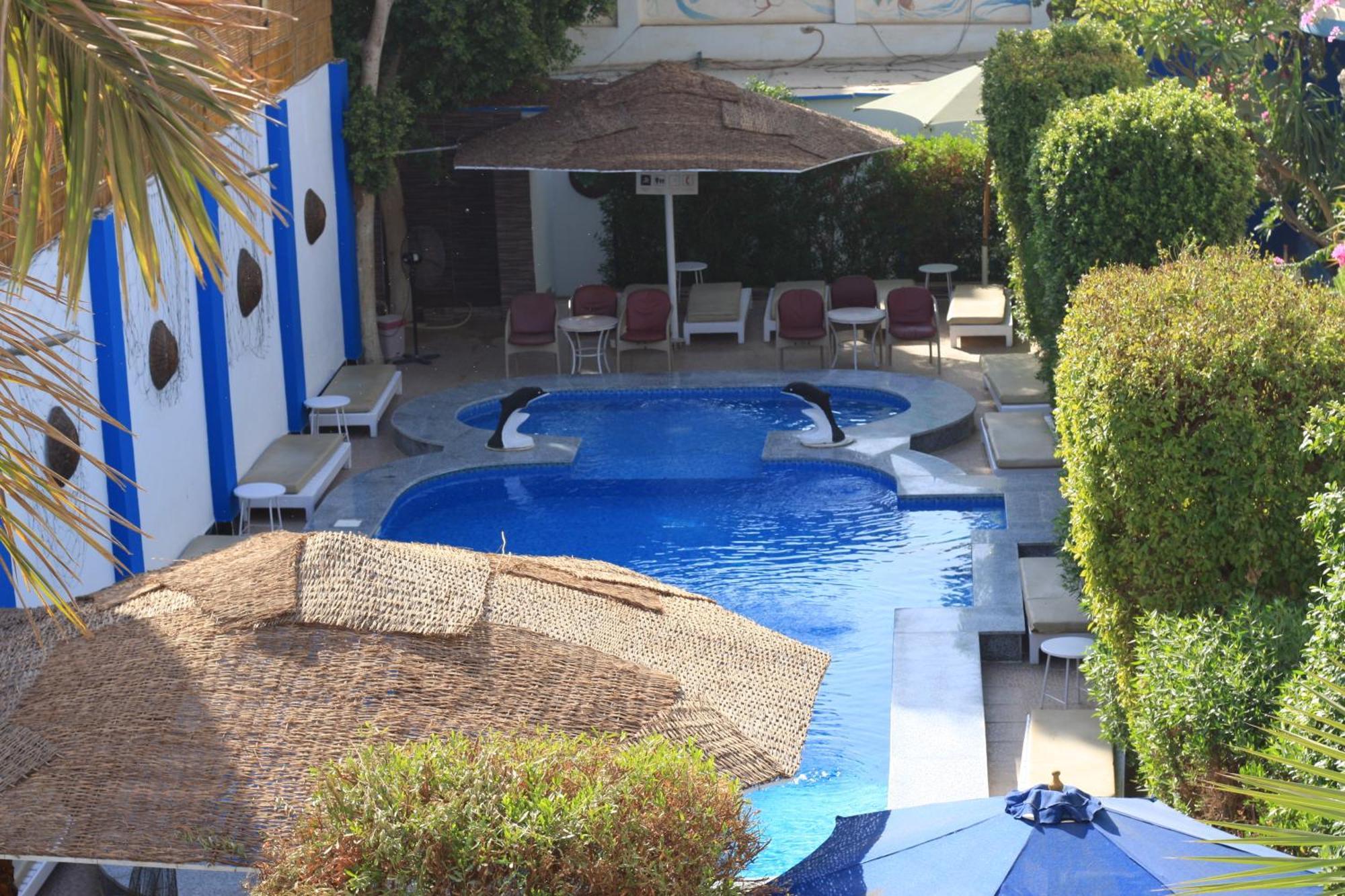 El Gezira Garden Hotel Luxor Exterior foto