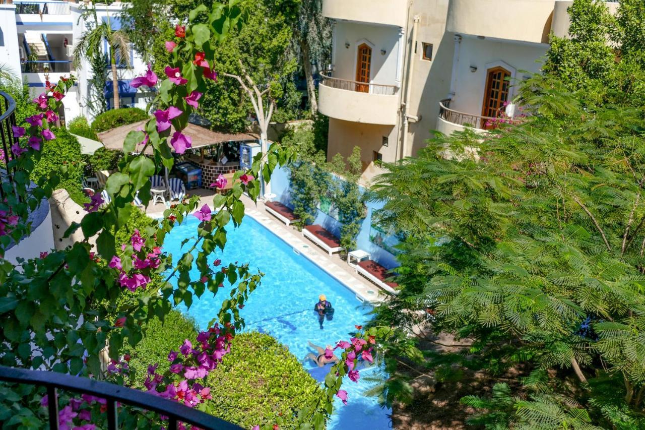 El Gezira Garden Hotel Luxor Exterior foto